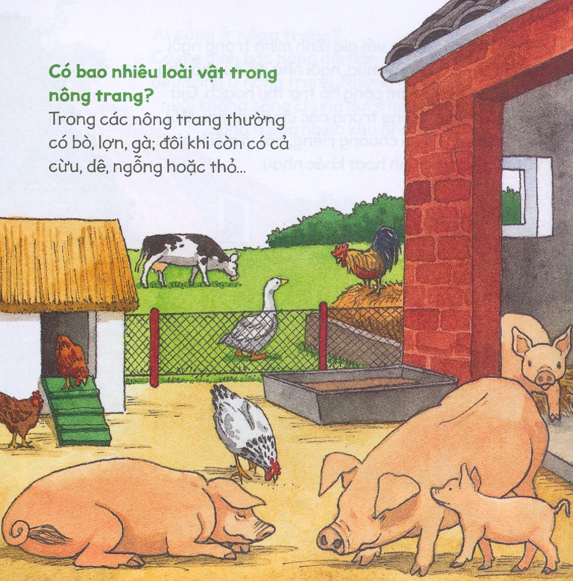 kiến thức tự nhiên xã hội căn bản - nông trang yên bình