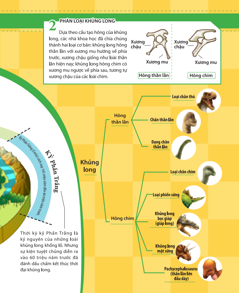 kiến thức về khủng long - cổ khủng long mamenchisaurus dài bao nhiêu? cơ thể khủng long chứa đầy bí mật