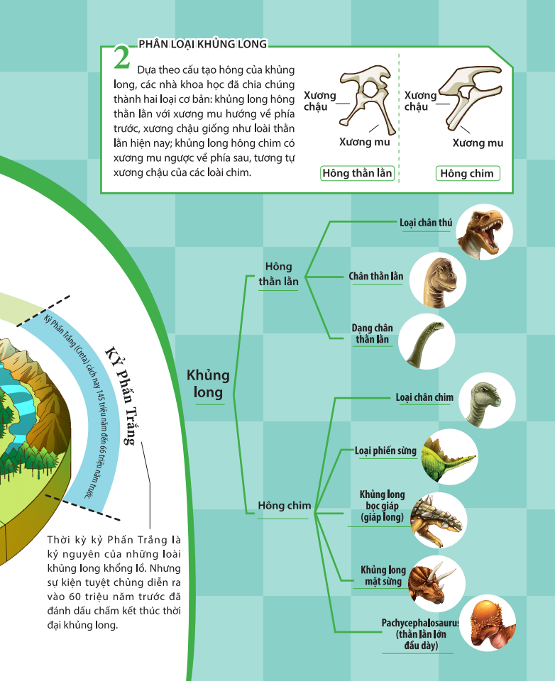 kiến thức về khủng long - khủng long oviraptor có trộm trứng thật không? đặt tên và hoá thạch