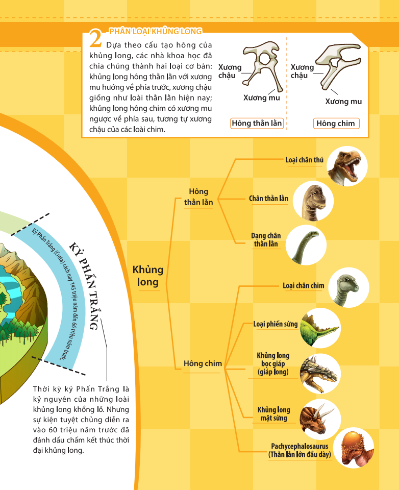 kiến thức về khủng long - tại sao khủng long plateosaurus lại ăn đá? đặc tính ăn uống và tiêu hóa của khủng long