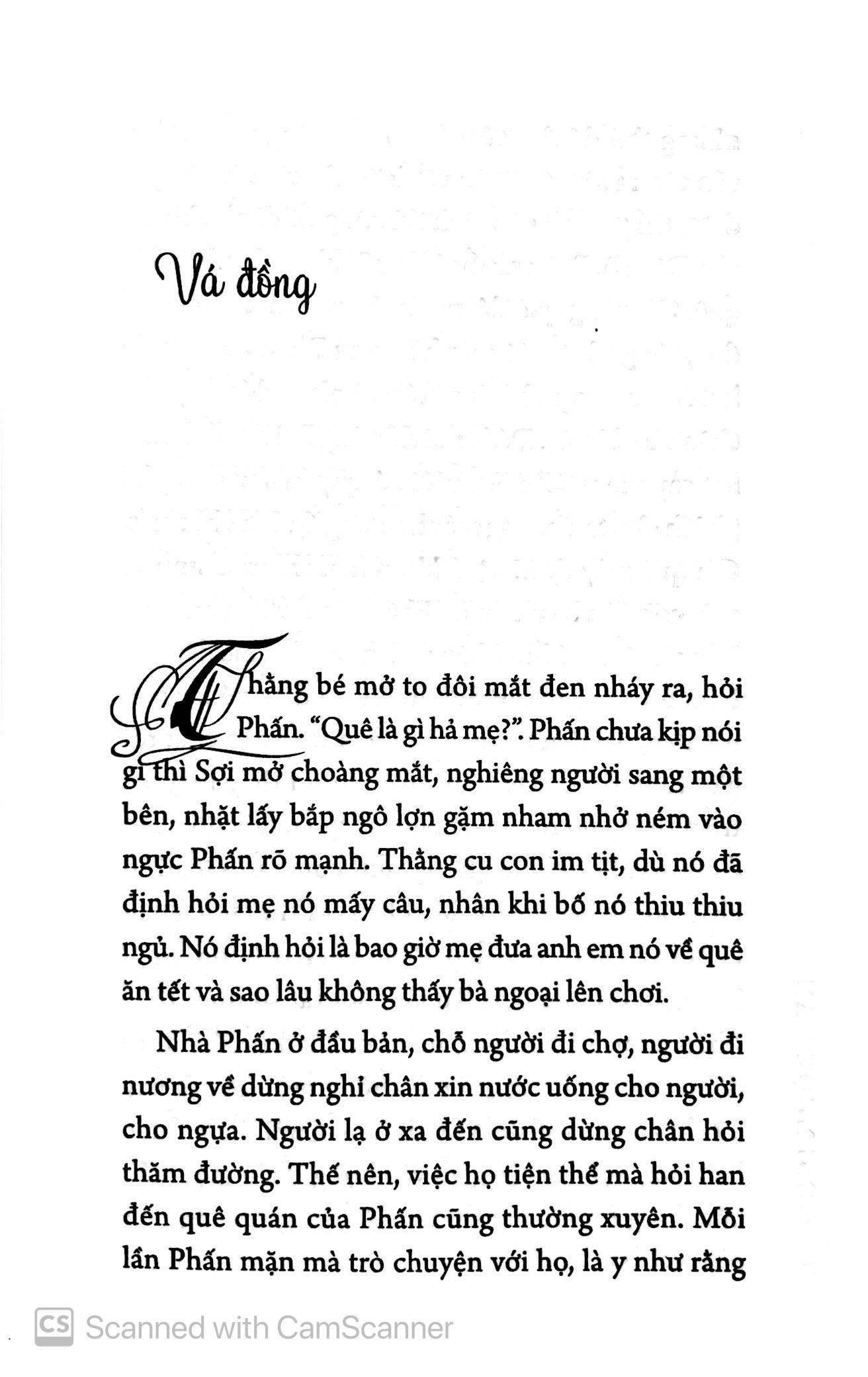 kiều mạch trắng