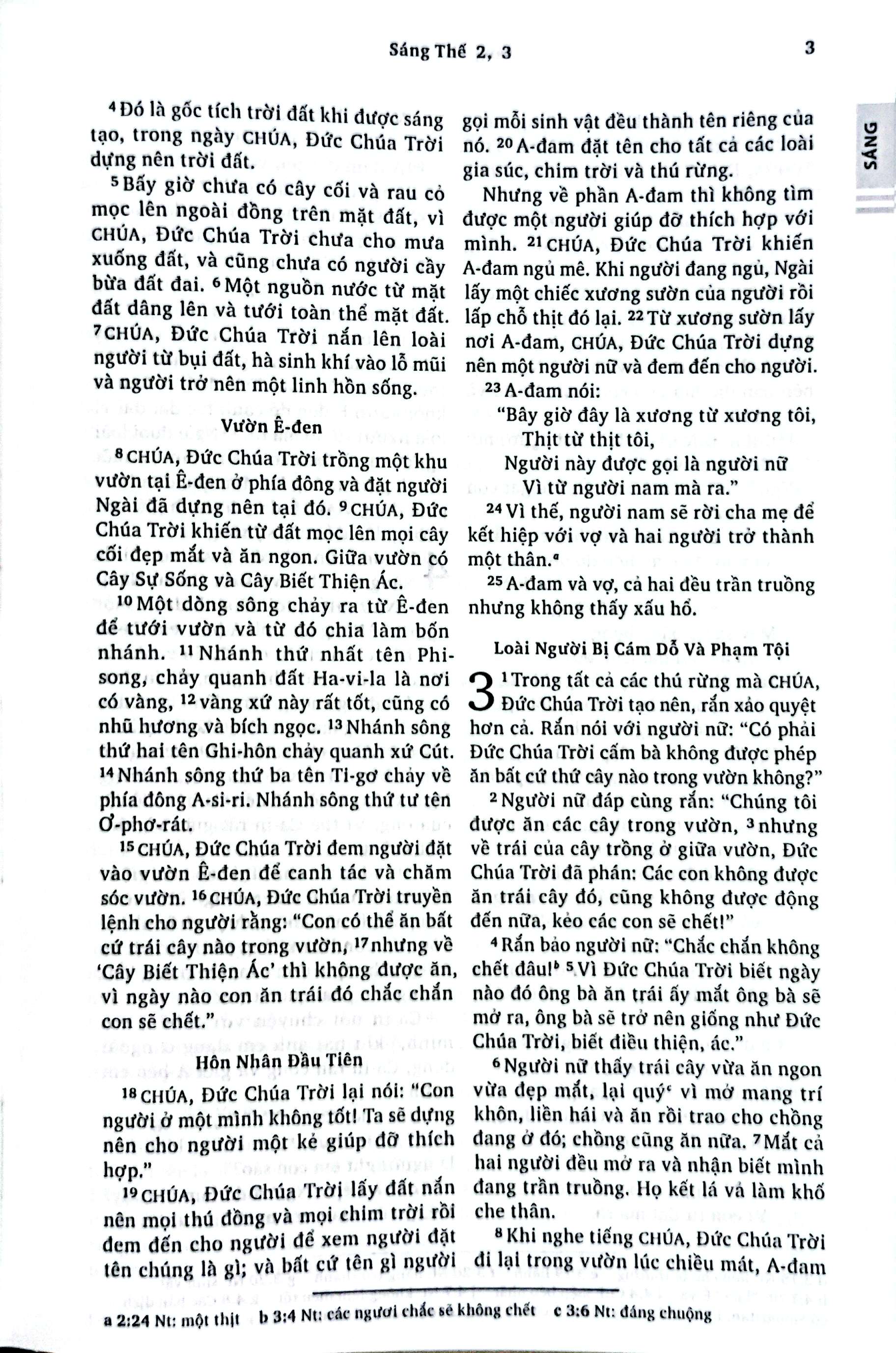 Kinh Thanh Ban Dich Moi - Bia Da