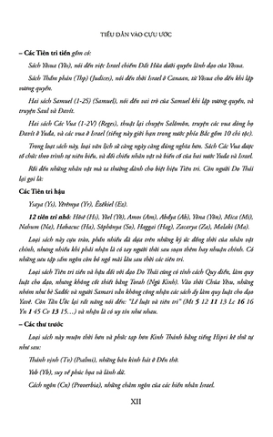 kinh thánh cựu ước - bản đặc biệt - bìa da