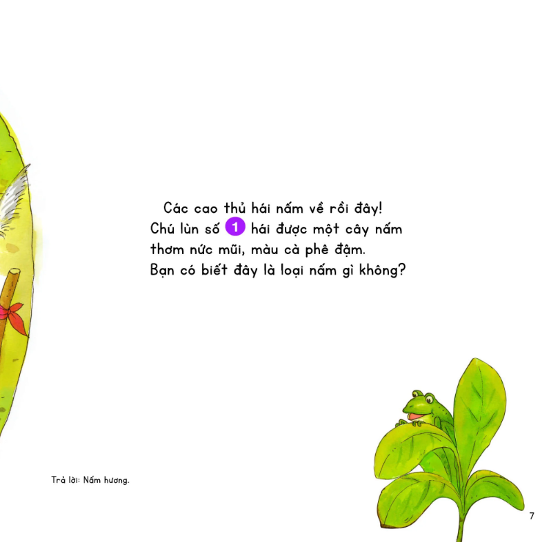 kính vạn hoa thiên nhiên - cuộc thi ở làng nấm