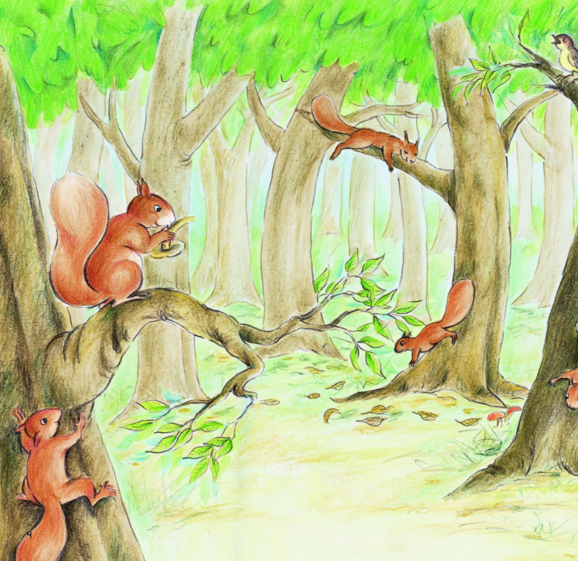 kính vạn hoa thiên nhiên - sóc con qua đường