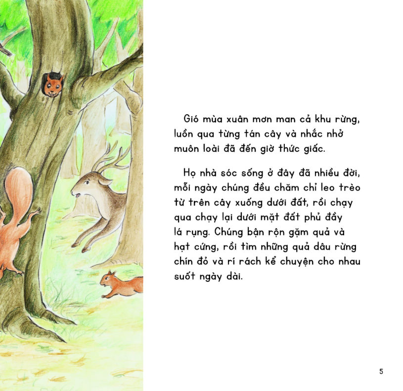 kính vạn hoa thiên nhiên - sóc con qua đường