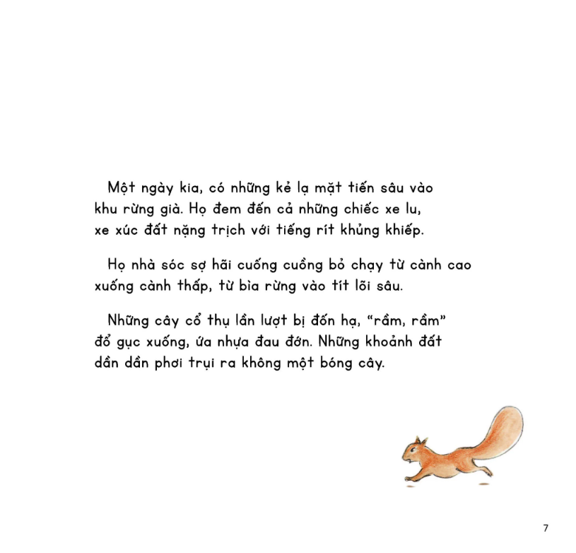 kính vạn hoa thiên nhiên - sóc con qua đường