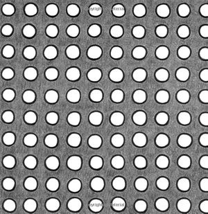 kitten's first full moon board book