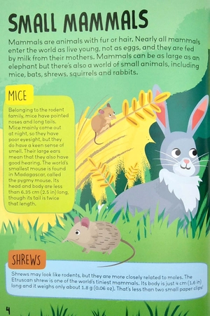 know and glow: animals sticker activities