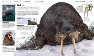 knowledge encyclopedia ocean!: our watery world as you've never seen it before