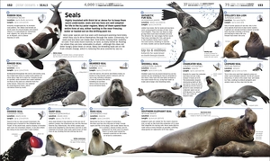 knowledge encyclopedia ocean!: our watery world as you've never seen it before