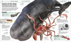 knowledge encyclopedia ocean!: our watery world as you've never seen it before