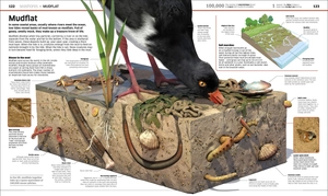 knowledge encyclopedia ocean!: our watery world as you've never seen it before