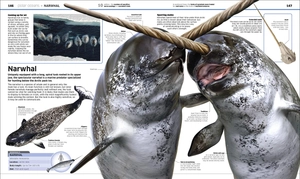 knowledge encyclopedia ocean!: our watery world as you've never seen it before