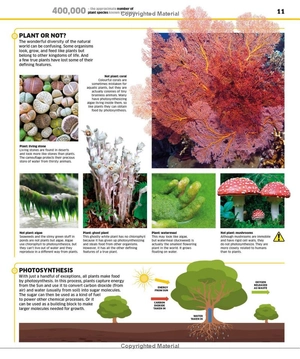 knowledge encyclopedia - plants and fungi