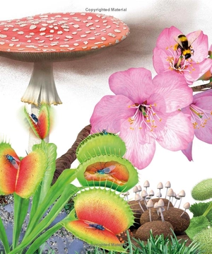 knowledge encyclopedia - plants and fungi