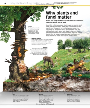 knowledge encyclopedia - plants and fungi