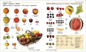 korean-english bilingual visual dictionary