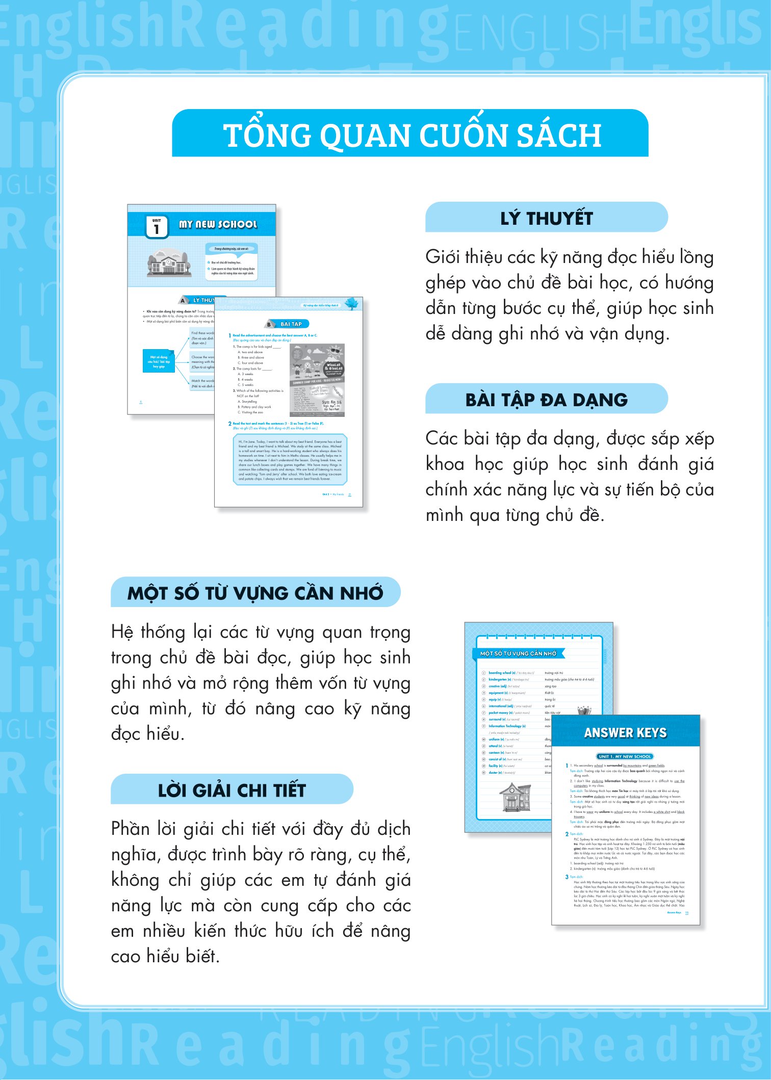 kỹ năng đọc hiểu tiếng anh lớp 6