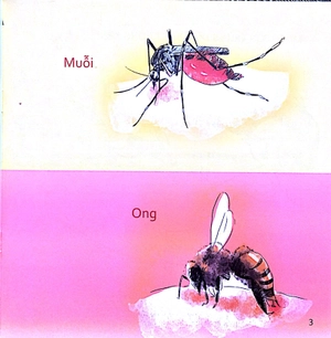 kỹ năng sống cho trẻ - xử lý khi bị côn trùng đốt