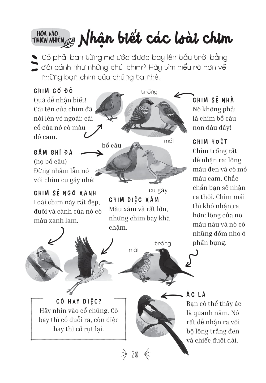 kỹ năng sống dành cho học sinh - mẹo cực hay - hội đam mê "xê dịch"