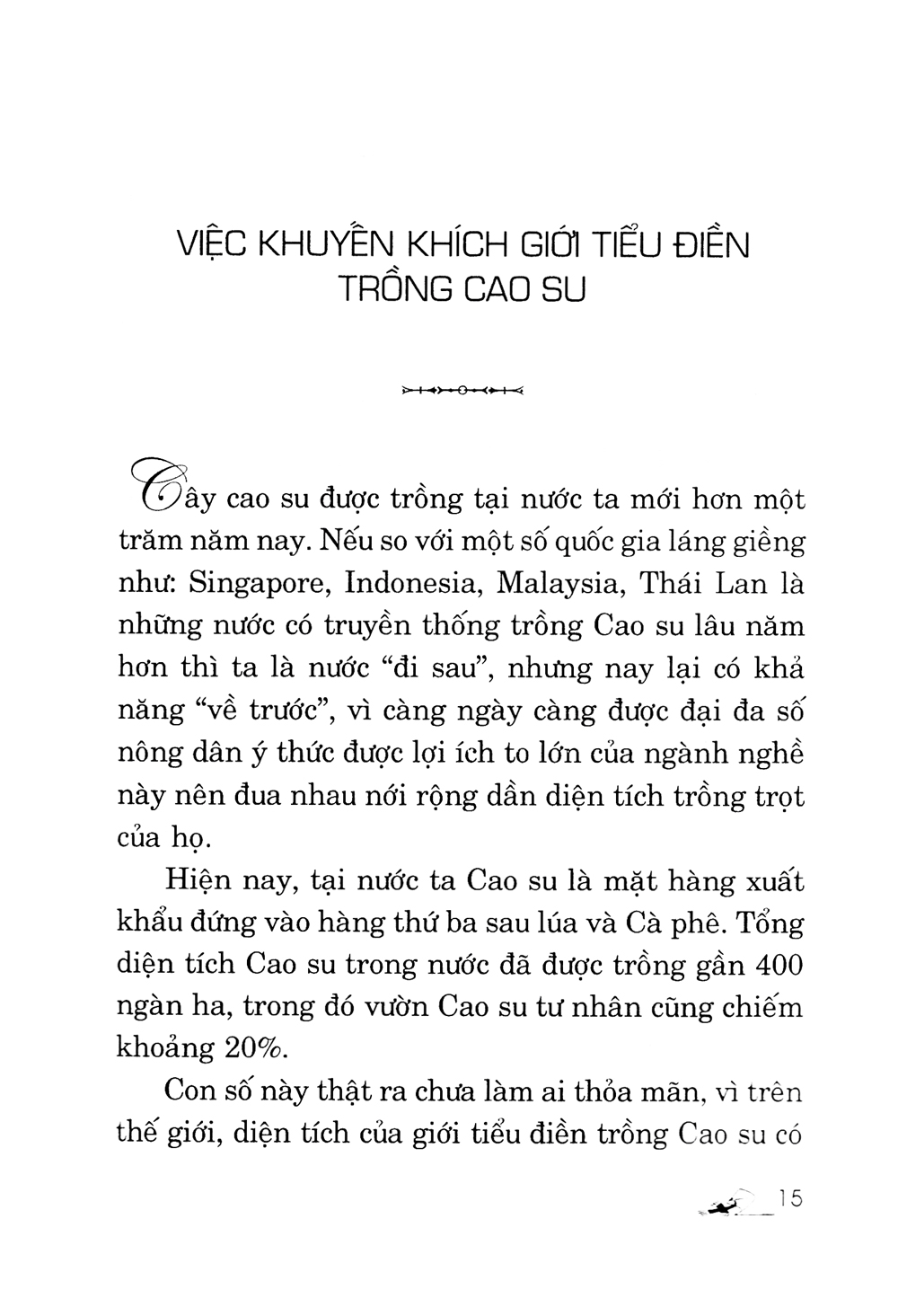 kỹ thuật trồng cây cao su với diện tích nhỏ