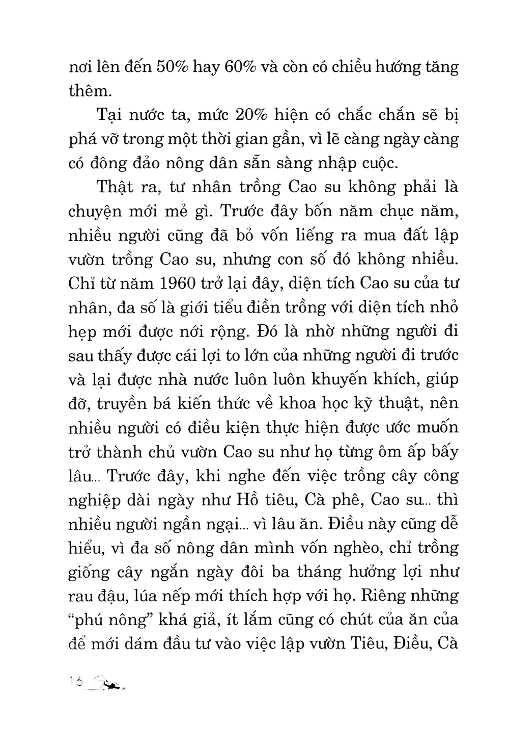 kỹ thuật trồng cây cao su với diện tích nhỏ