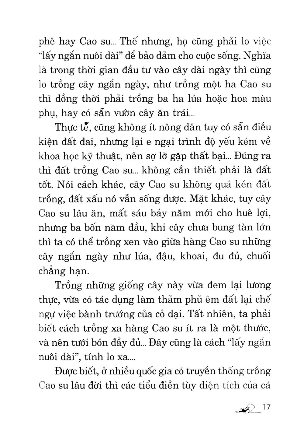 kỹ thuật trồng cây cao su với diện tích nhỏ