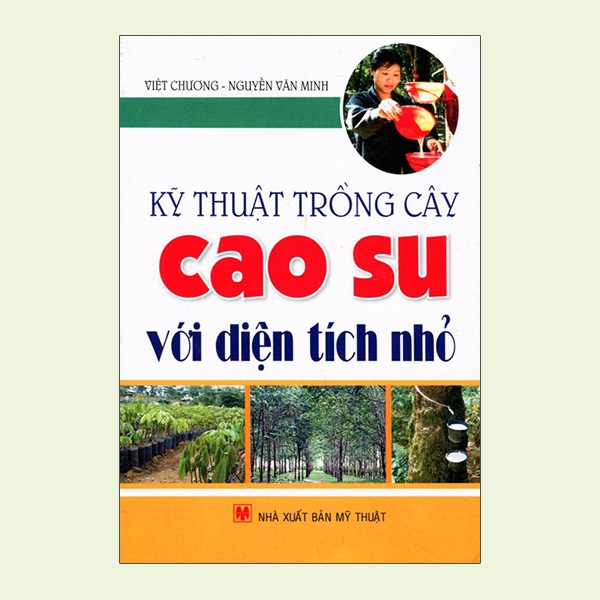 kỹ thuật trồng cây cao su với diện tích nhỏ
