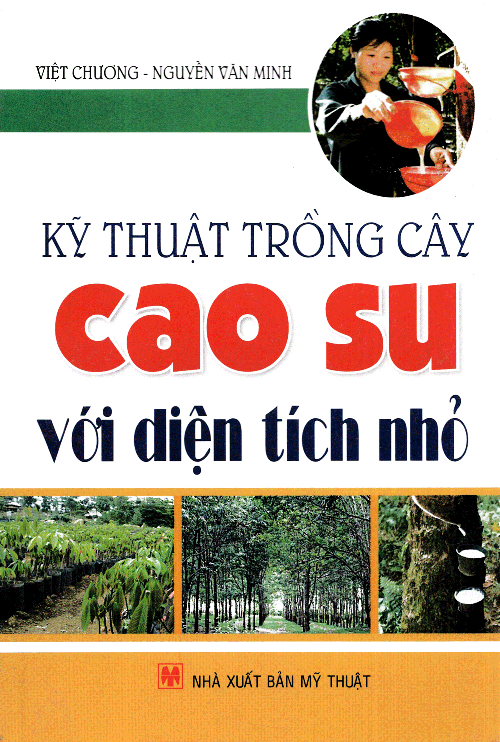 kỹ thuật trồng cây cao su với diện tích nhỏ