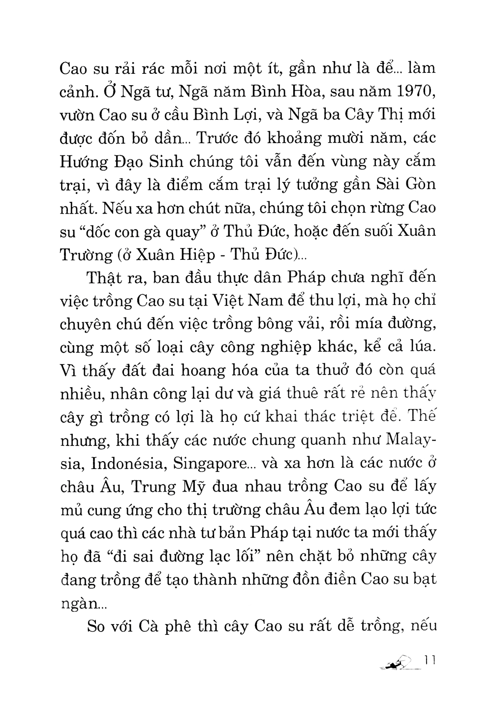 kỹ thuật trồng cây cao su với diện tích nhỏ
