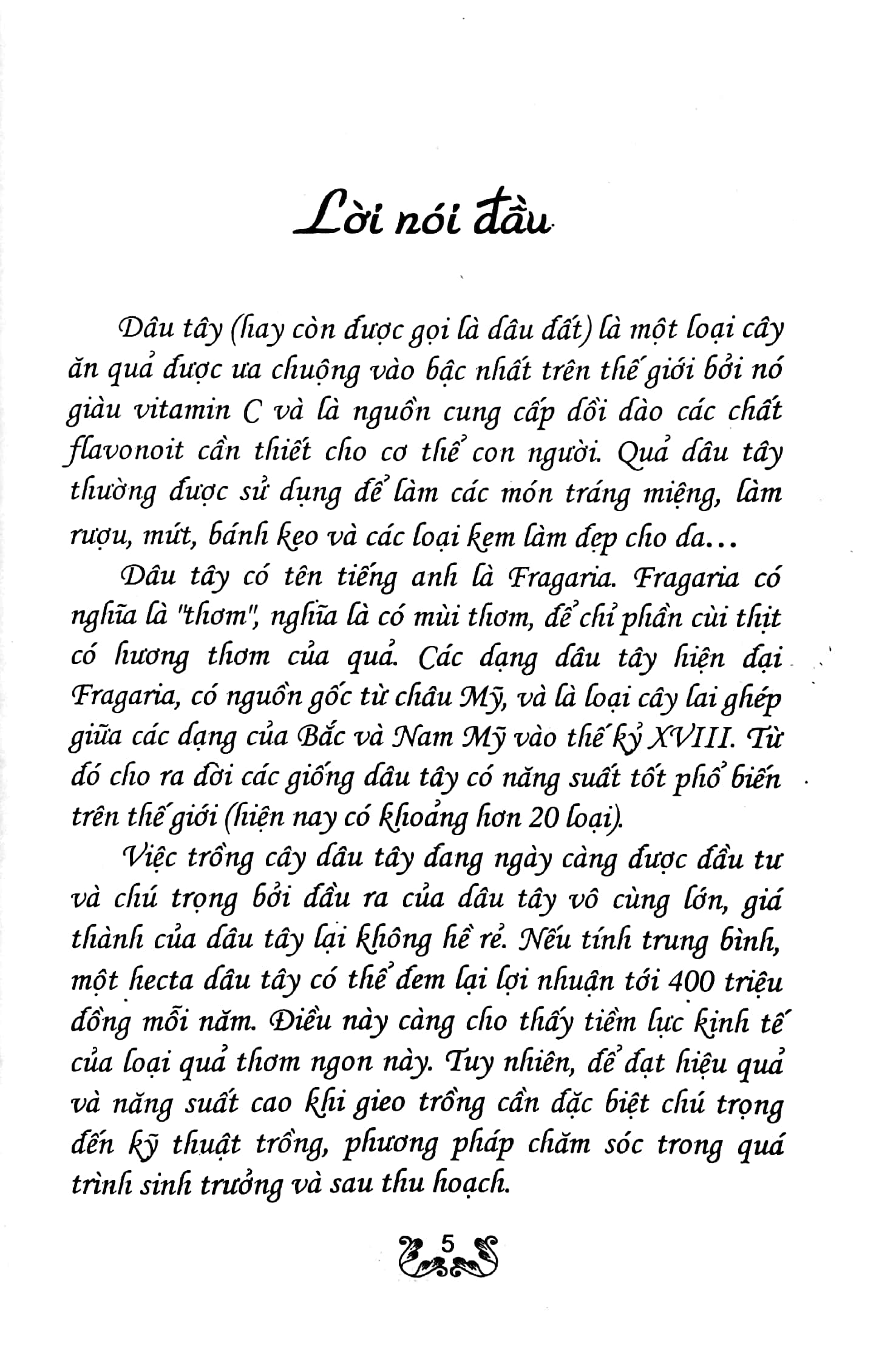 kỹ thuật trồng dâu tây