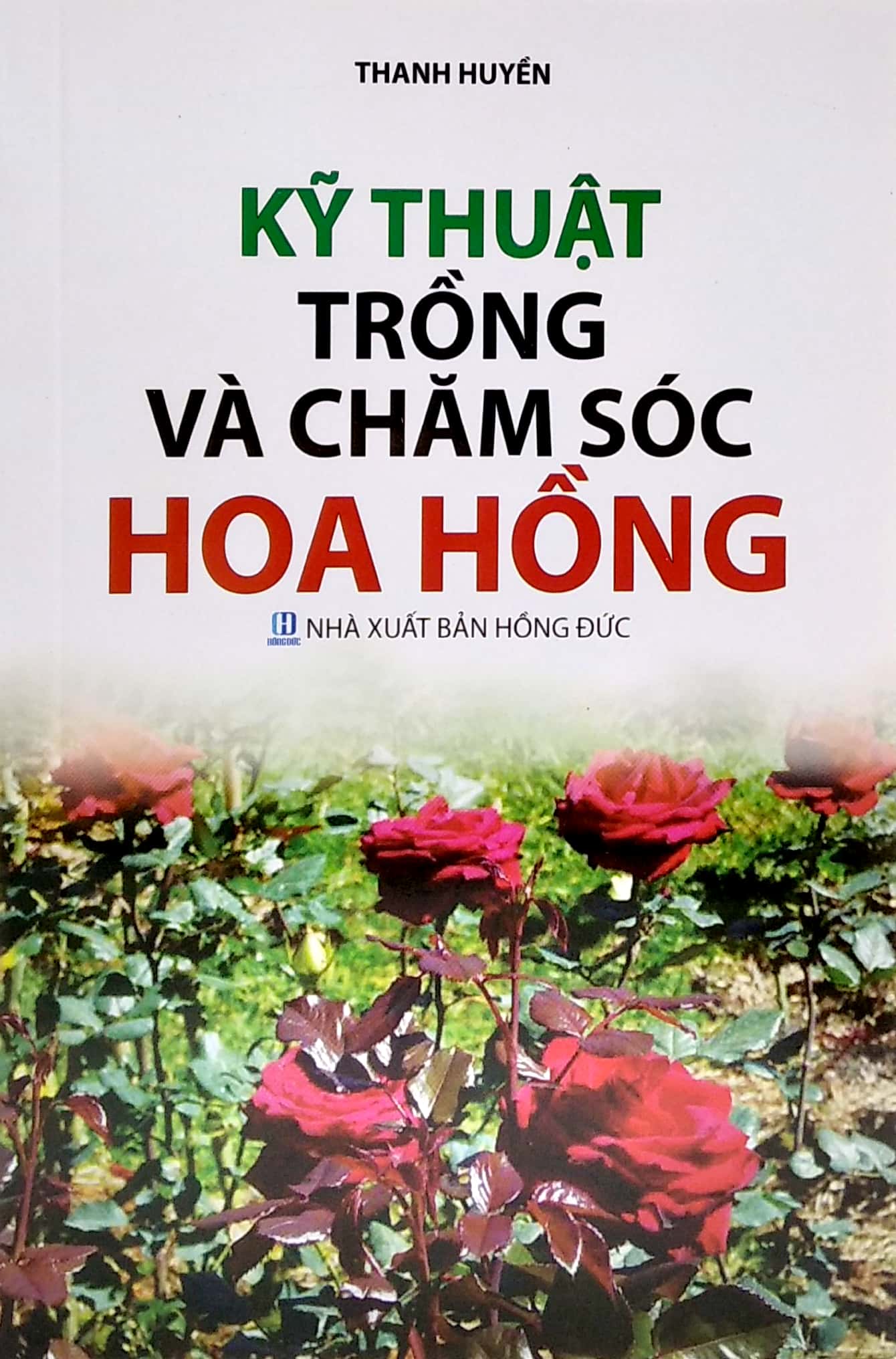 kỹ thuật trồng và chăm sóc hoa hồng
