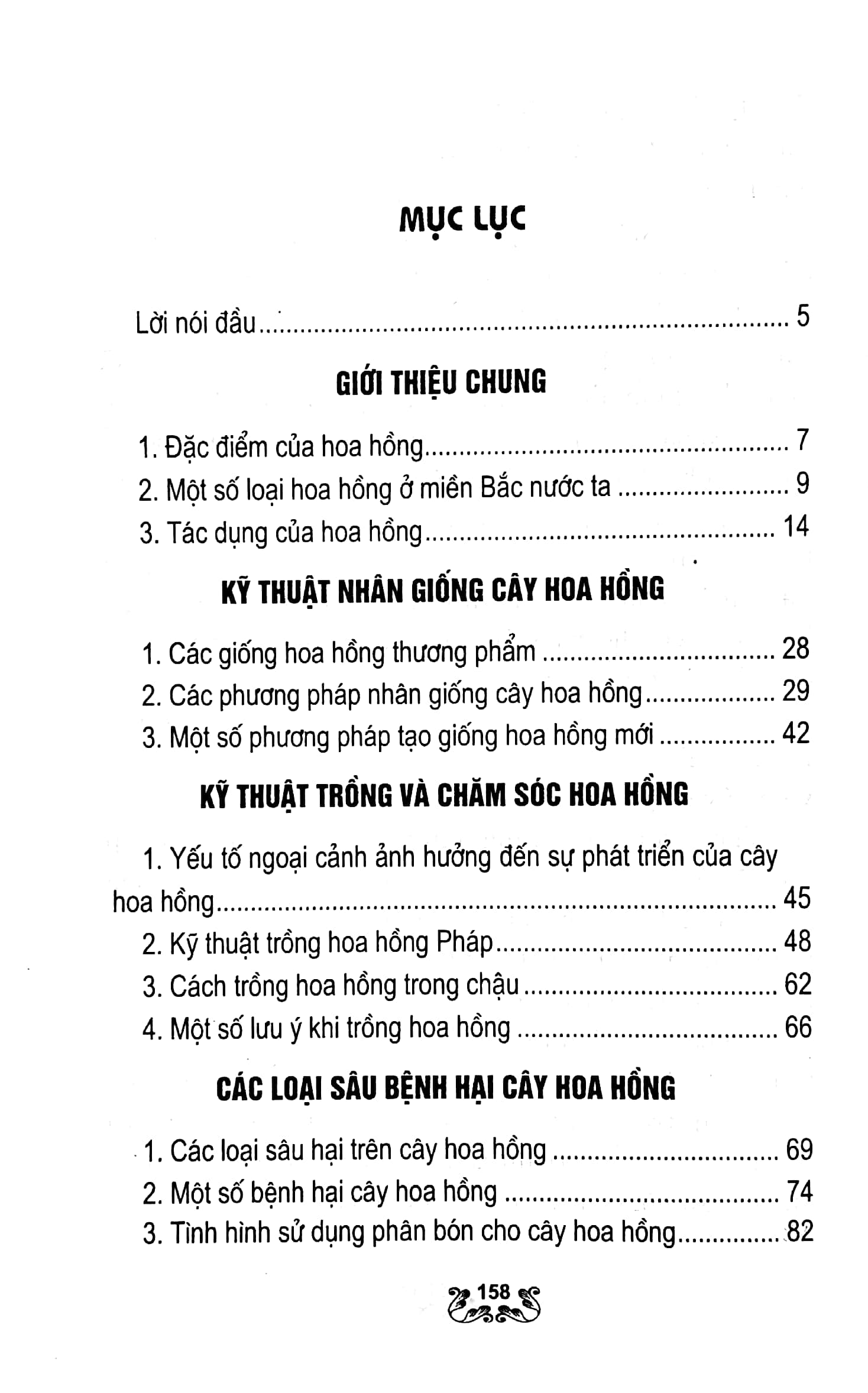 kỹ thuật trồng và chăm sóc hoa hồng