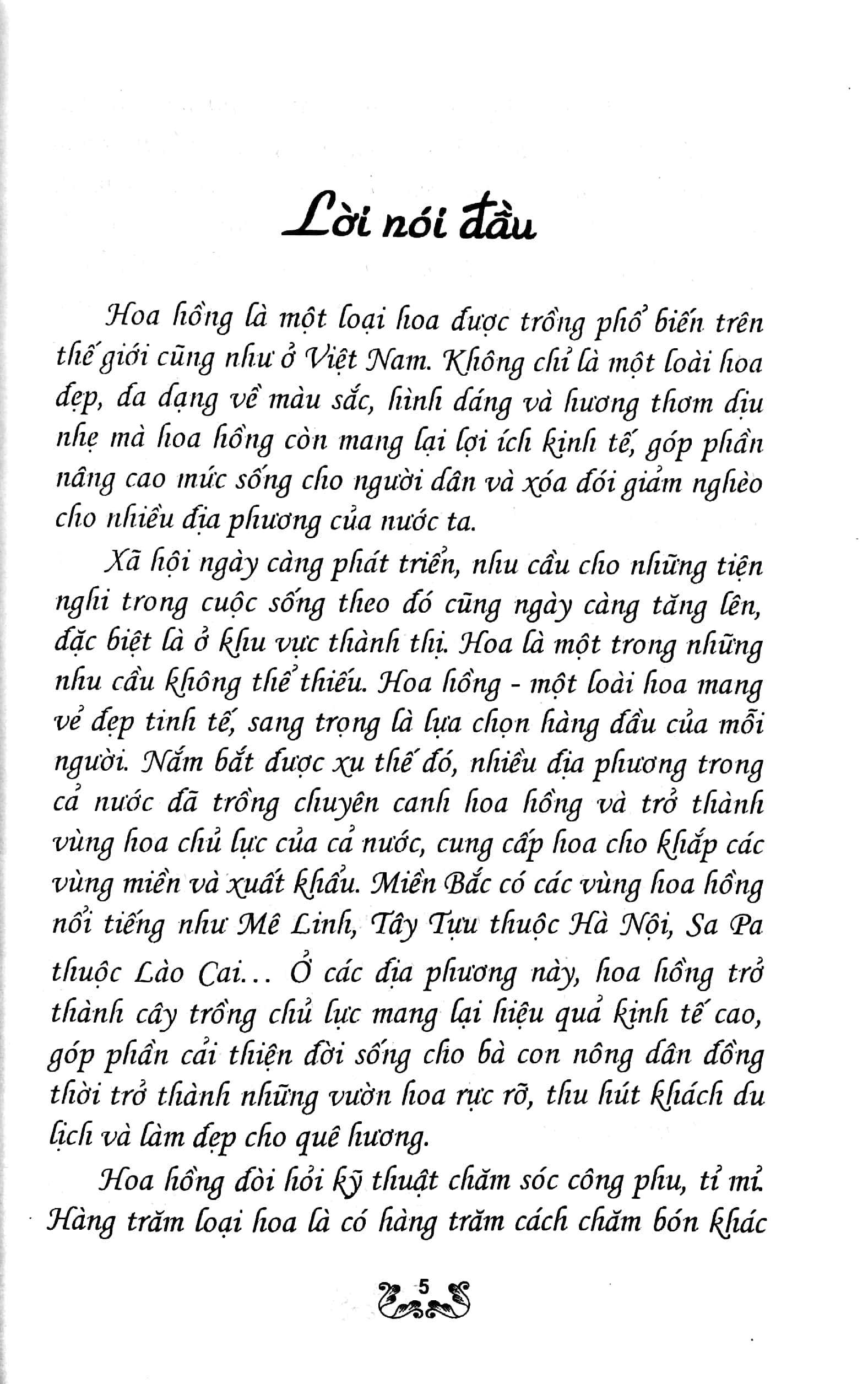 kỹ thuật trồng và chăm sóc hoa hồng