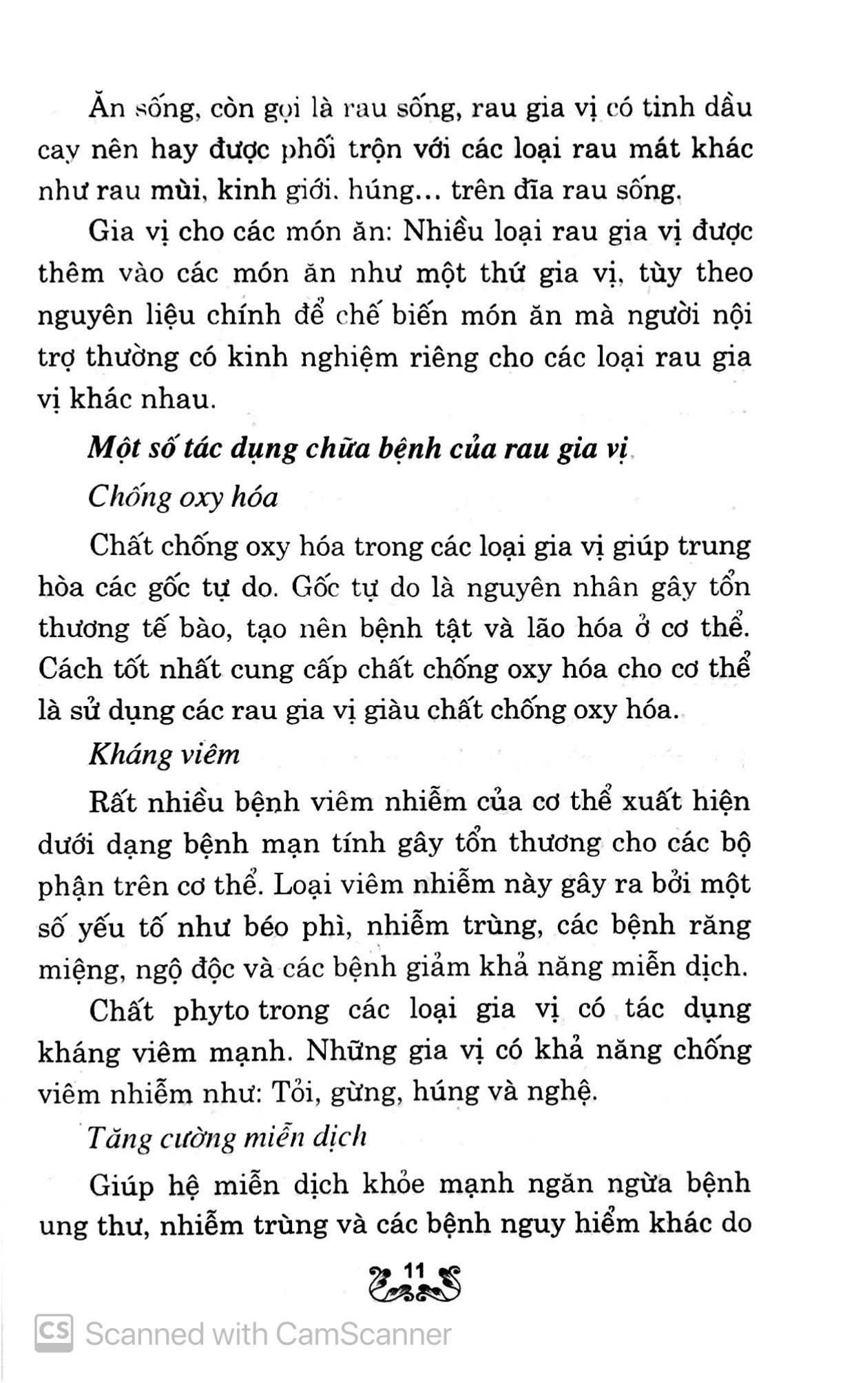 kỹ thuật trồng và chăm sóc rau gia vị