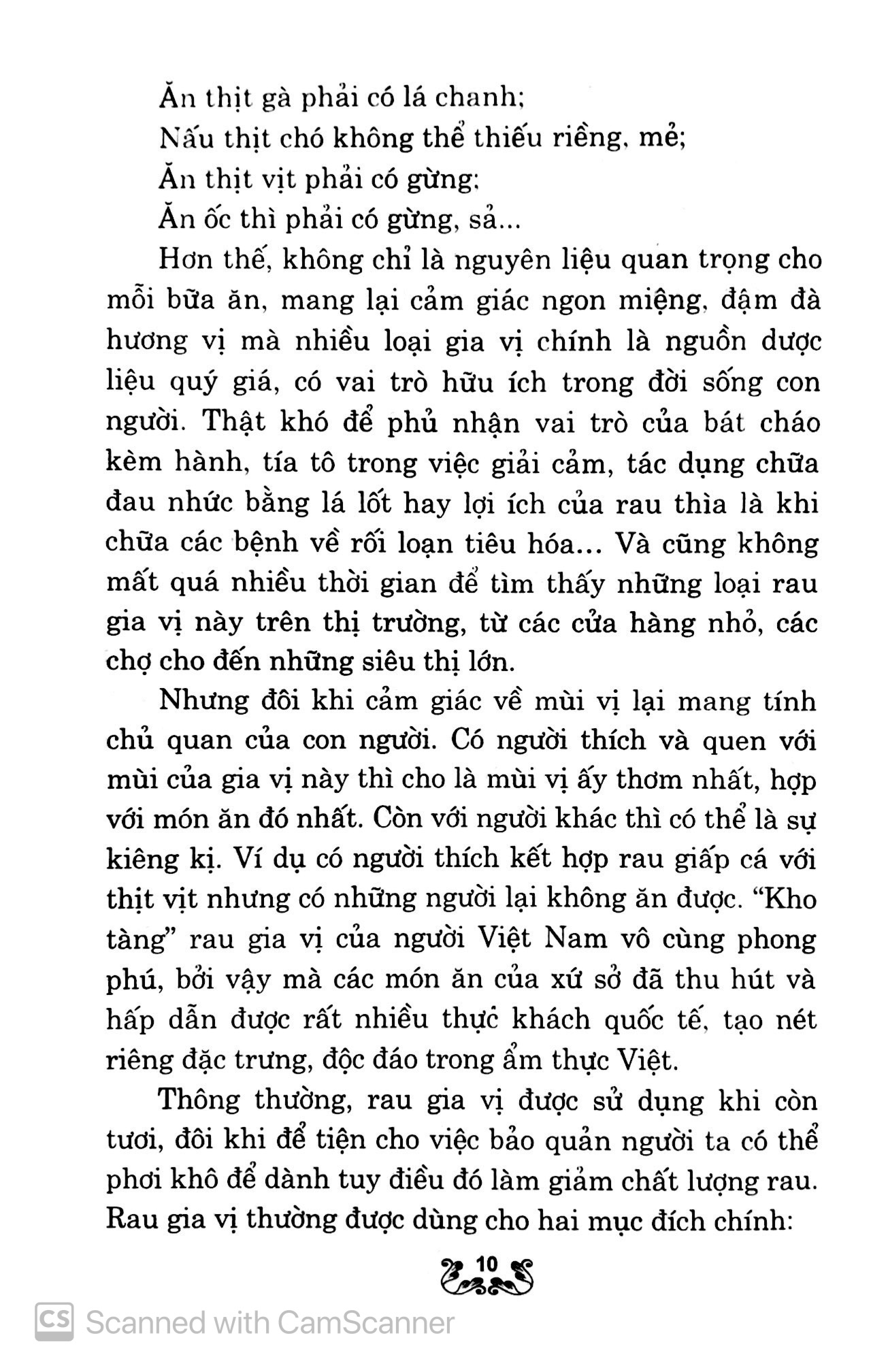 kỹ thuật trồng và chăm sóc rau gia vị