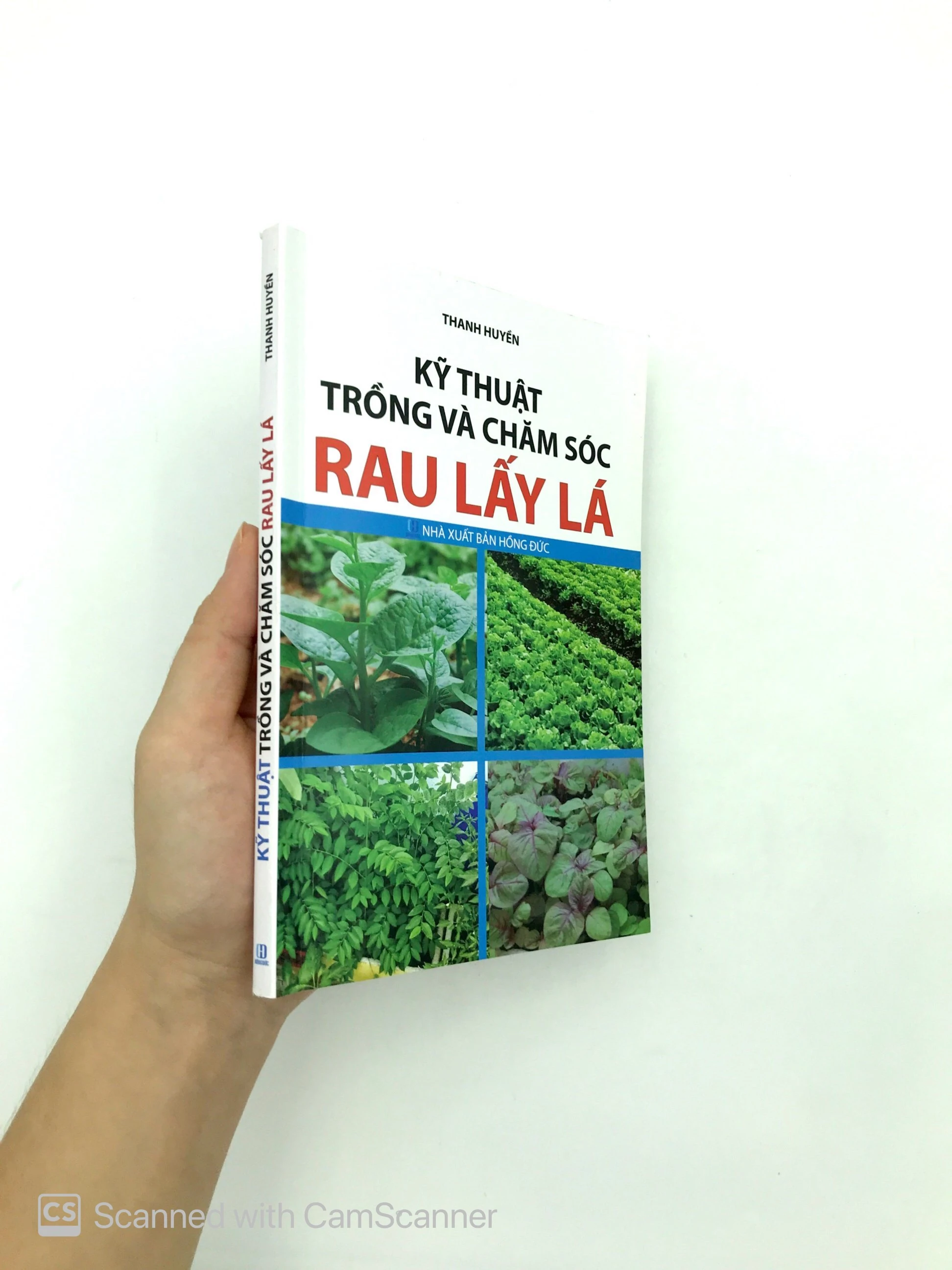 kỹ thuật trồng và chăm sóc rau lấy lá