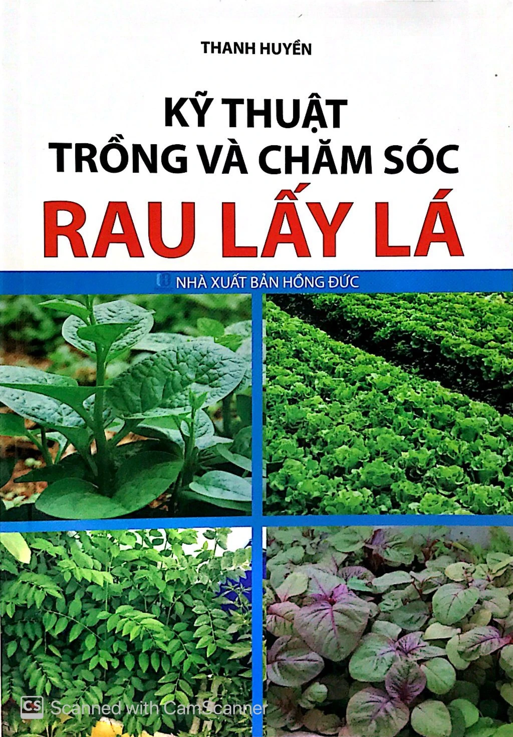 kỹ thuật trồng và chăm sóc rau lấy lá