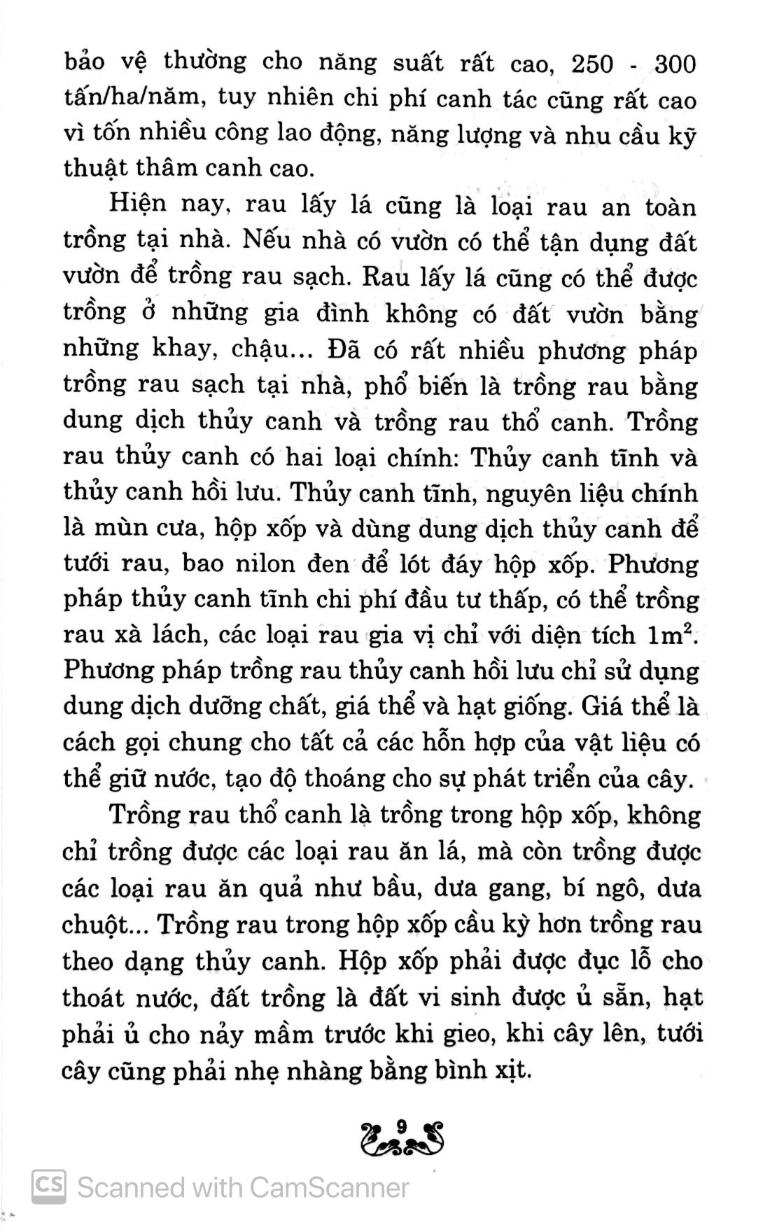 kỹ thuật trồng và chăm sóc rau lấy lá