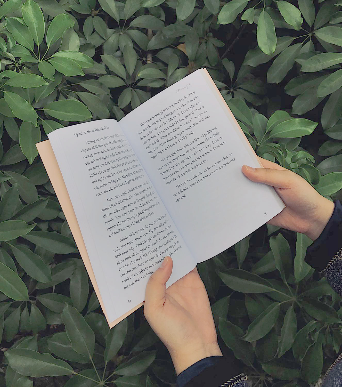 kỳ tích là tên gọi khác của nỗ lực