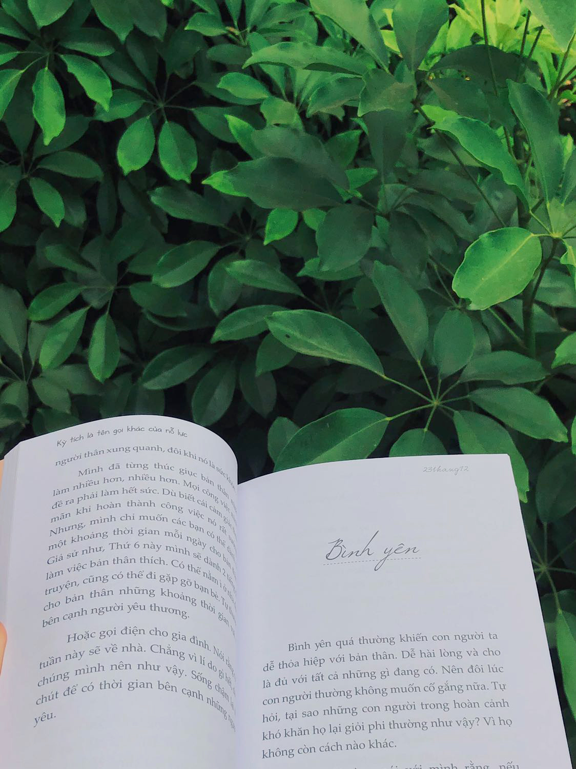 kỳ tích là tên gọi khác của nỗ lực