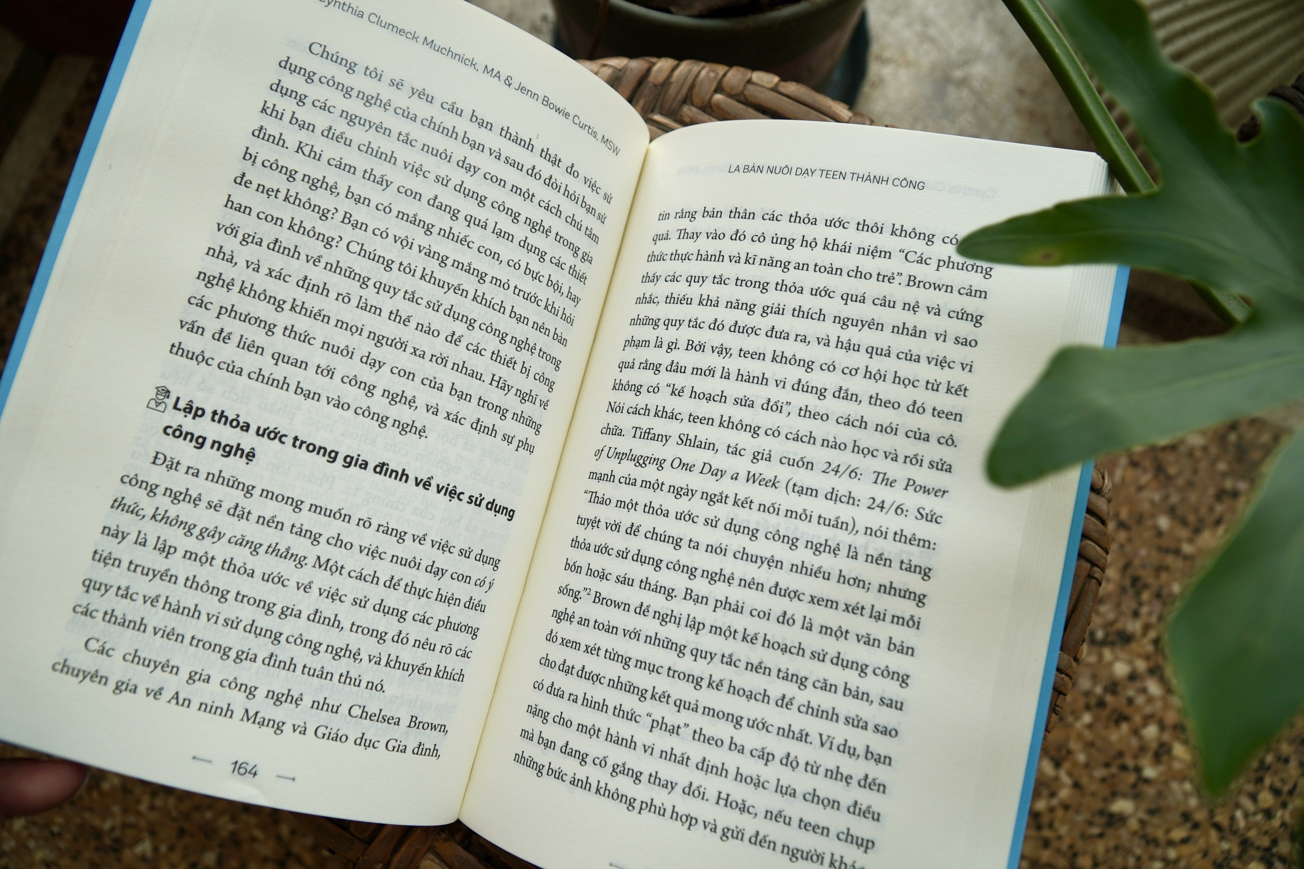 la bàn nuôi dạy teen thành công