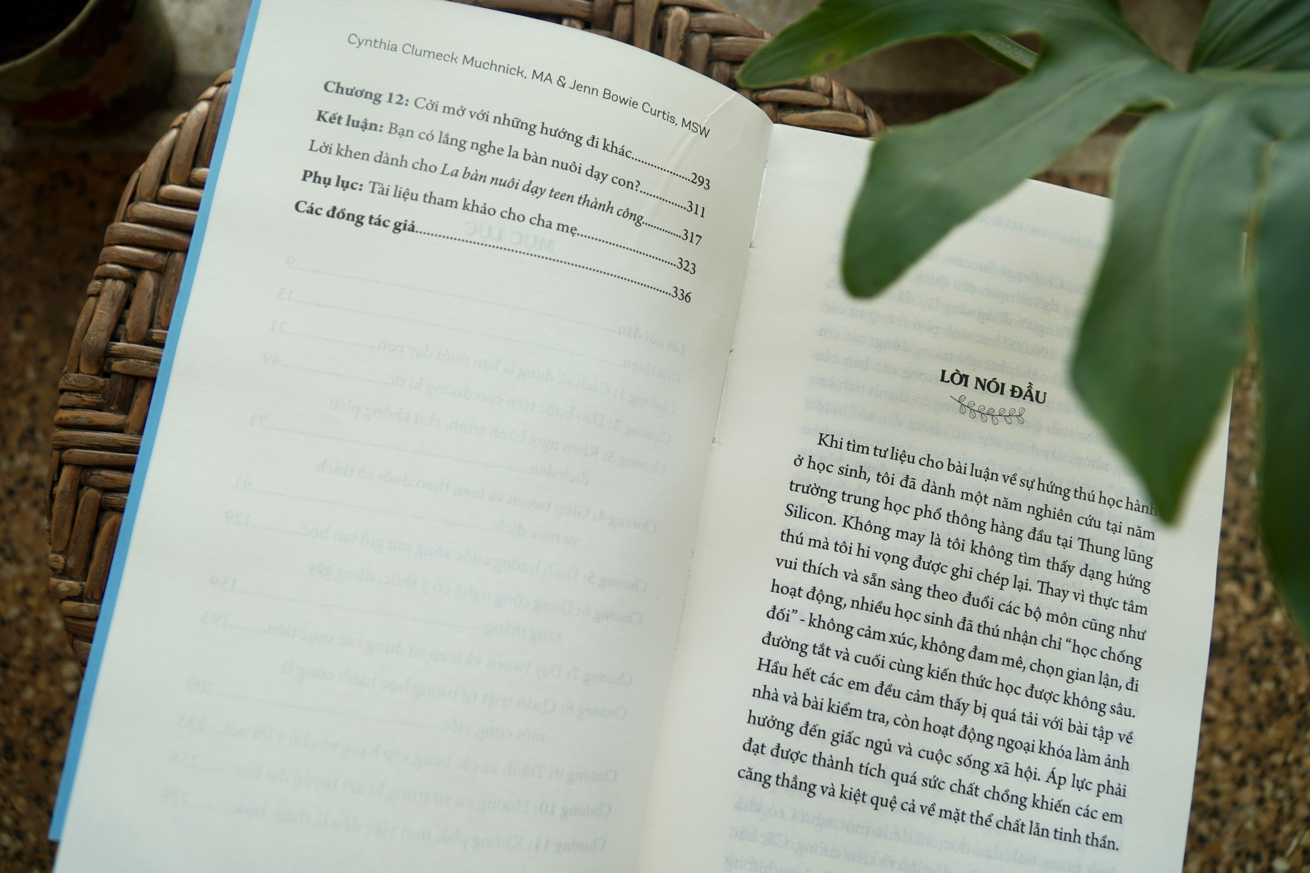 la bàn nuôi dạy teen thành công