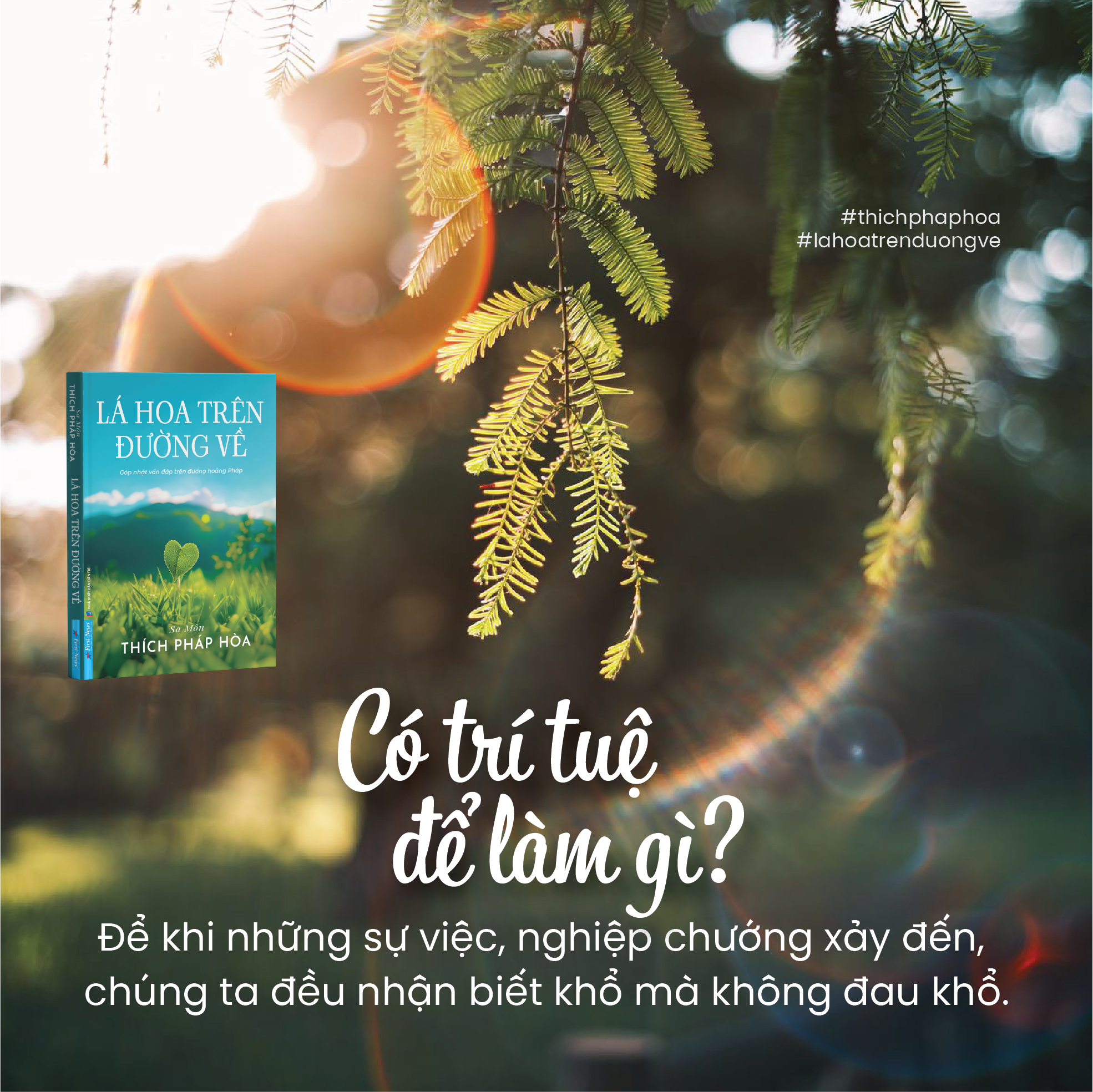 Lá Hoa Trên Đường Về - Tặng Kèm Bookmark Lá Bồ Đề Ngẫu Nhiên + Bookmark + Postcard
