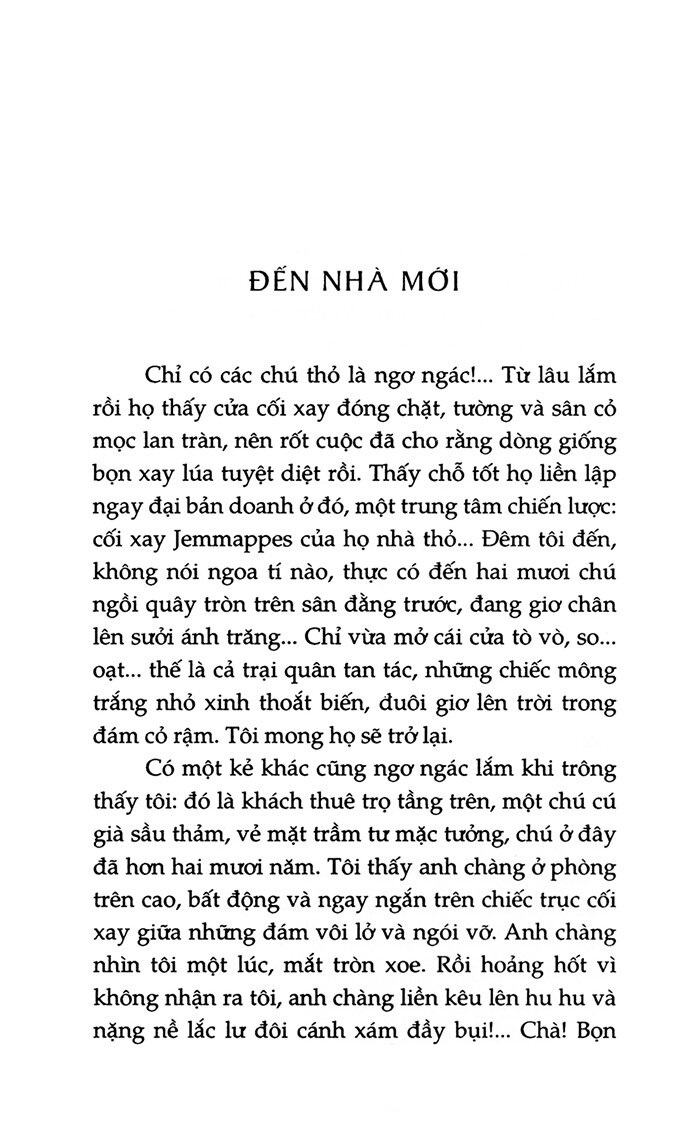 lá thư hè (tái bản 2023)