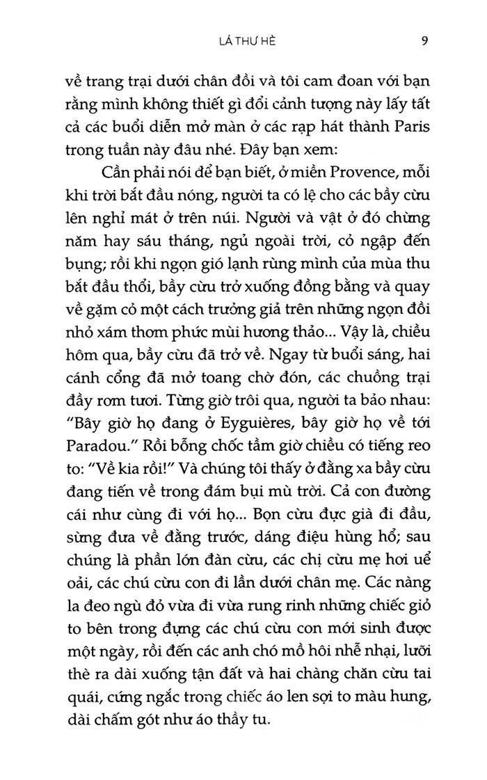 lá thư hè (tái bản 2023)