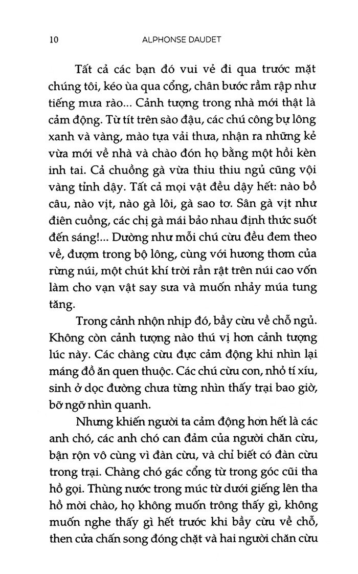 lá thư hè (tái bản 2023)