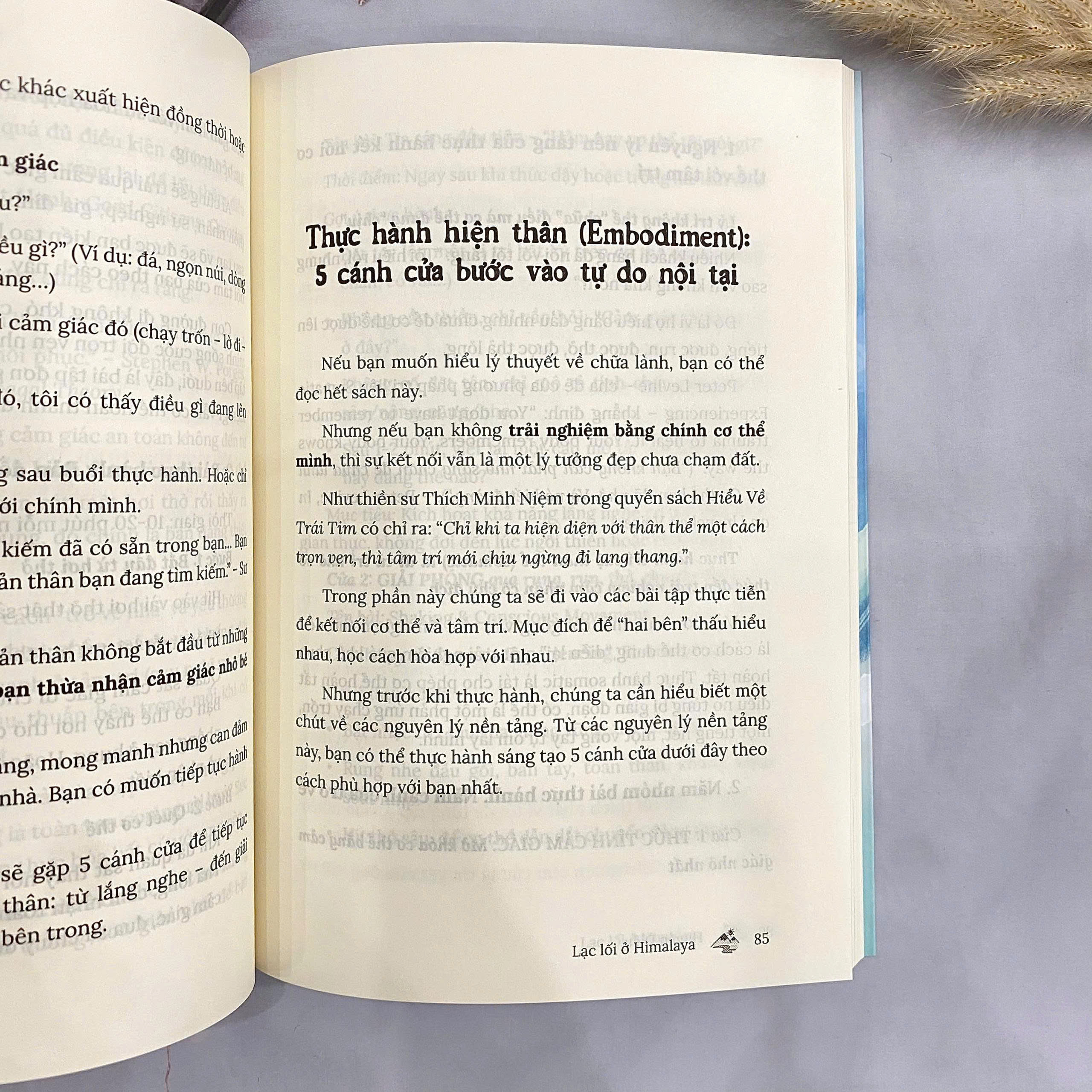 Lac Loi O Himalaya - Con Duong "Ve Nha Voi Chinh Minh", "Hoc Ra Tu Minh" Va Hien Thuc Hoa Nhung Phep Mau