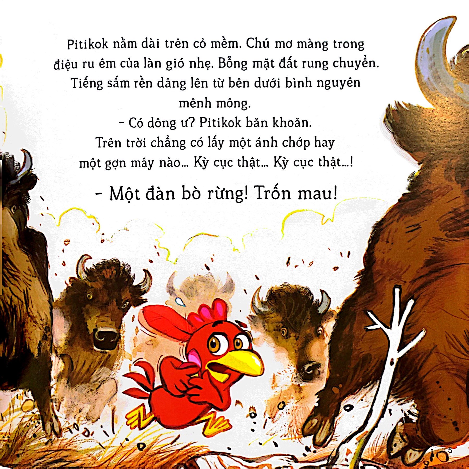 lại chuyện xóm gà - pitikok và bê rừng bé bỏng